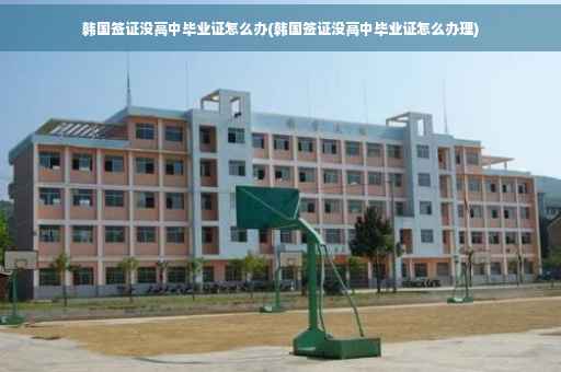 韩国签证没高中毕业证怎么办(韩国签证没高中毕业证怎么办理)