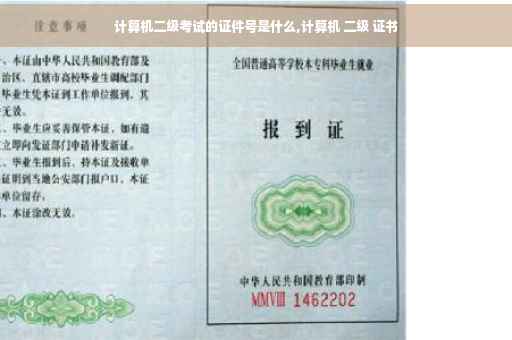 计算机二级考试的证件号是什么,计算机 二级 证书