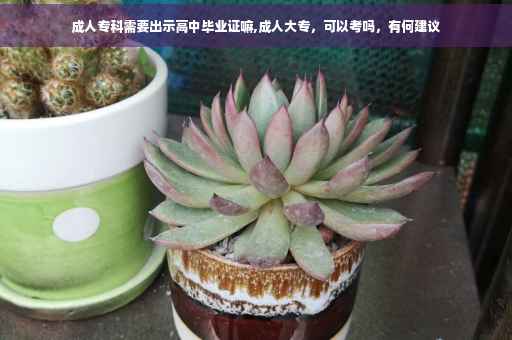 成人专科需要出示高中毕业证嘛,成人大专,可以考吗,有何建议 成人专科需要出示高中毕业证嘛,成人大专,可以考吗,有何建议