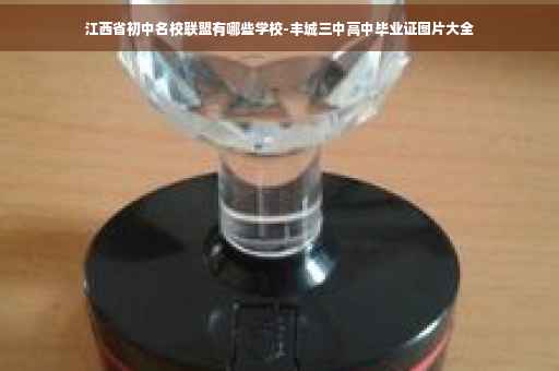 江西省初中名校联盟有哪些学校-丰城三中高中毕业证图片大全