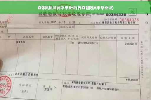 首体凤凰岭高中毕业证(界首朝阳高中毕业证)