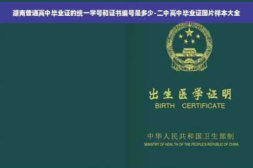湖南普通高中毕业证的统一学号和证书编号是多少-二中高中毕业证图片样本大全