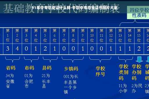 91年中专毕业证什么样-中职中专毕业证书图片大全