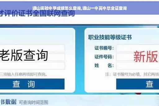 通山实验中学成绩怎么查询,通山一中高中毕业证查询