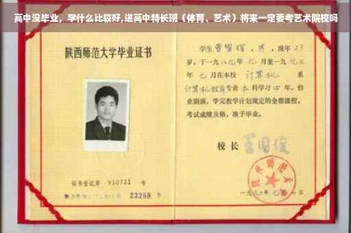 高中没毕业，学什么比较好,进高中特长班（体育、艺术）将来一定要考艺术院校吗