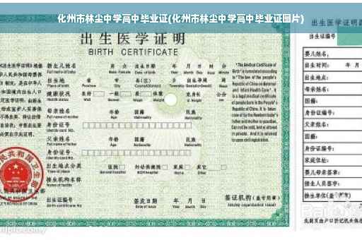化州市林尘中学高中毕业证(化州市林尘中学高中毕业证图片)