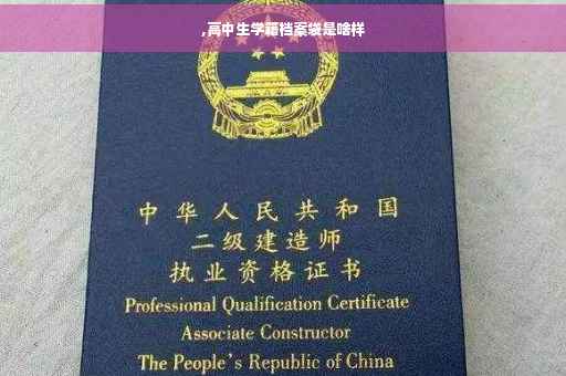 ,高中生学籍档案袋是啥样