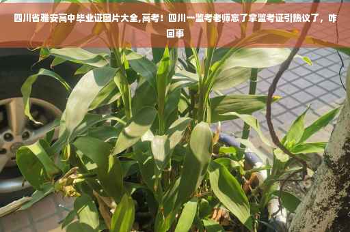 四川省雅安高中毕业证图片大全,高考！四川一监考老师忘了拿监考证引热议了，咋回事