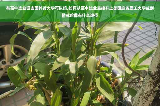 有高中毕业证去国外读大学可以吗,如何从高中毕业直接升上美国麻省理工大学或剑桥或哈佛有什么途径