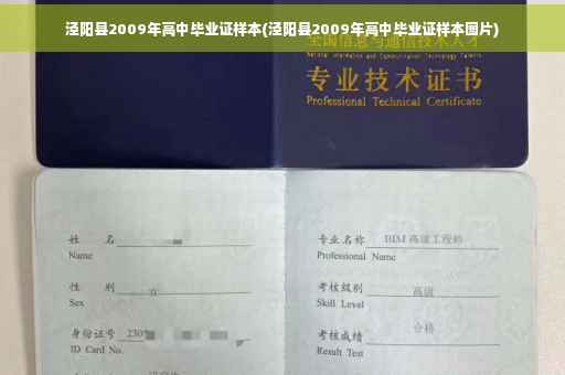 泾阳县2009年高中毕业证样本(泾阳县2009年高中毕业证样本图片)