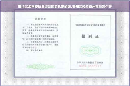 塔沟武术学校毕业证是国家认定的吗,曹州武校和曹州实验哪个好