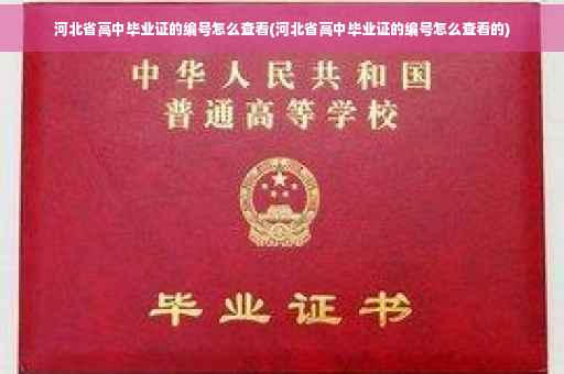 河北省高中毕业证的编号怎么查看(河北省高中毕业证的编号怎么查看的) 河北省高中毕业证的编号怎么查看(河北省高中毕业证的编号怎么查看的)