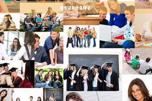 准生证长什么样子-