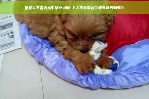 报考大学需要高中毕业证吗-上大学要拿高中毕业证去吗知乎