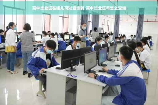 高中毕业证在哪儿可以查询到,高中毕业证号怎么查询