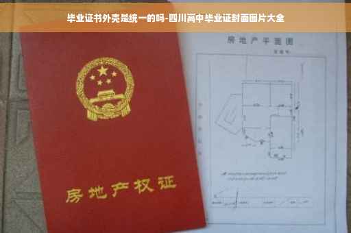 毕业证书外壳是统一的吗-四川高中毕业证封面图片大全