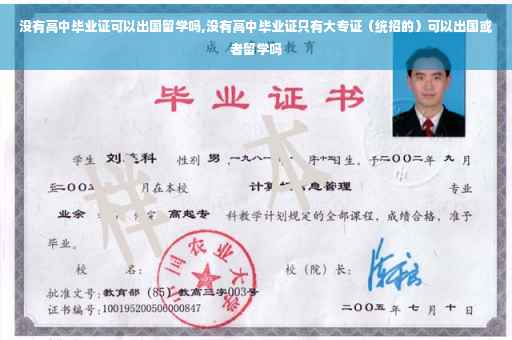 没有高中毕业证可以出国留学吗,没有高中毕业证只有大专证（统招的）可以出国或者留学吗