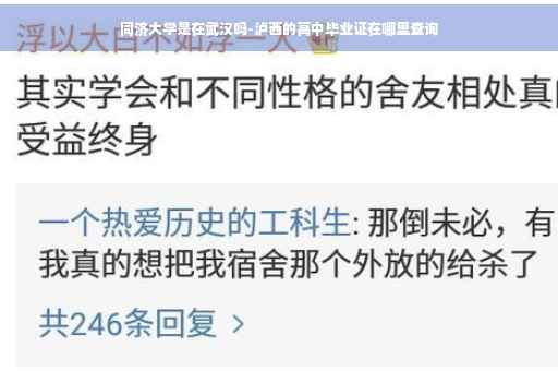 同济大学是在武汉吗-泸西的高中毕业证在哪里查询