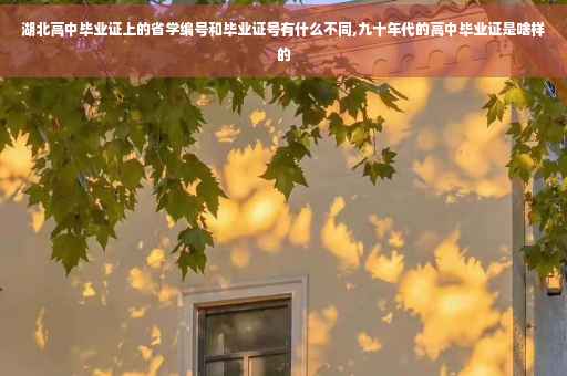 湖北高中毕业证上的省学编号和毕业证号有什么不同,九十年代的高中毕业证是啥样的
