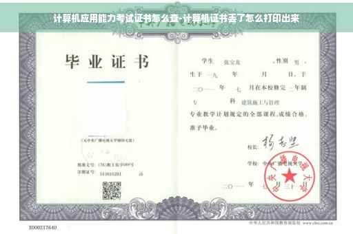 计算机应用能力考试证书怎么查-计算机证书丢了怎么打印出来