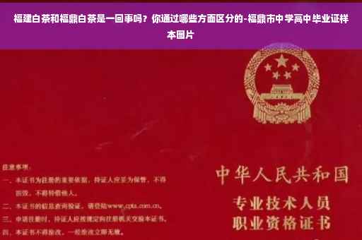 福建白茶和福鼎白茶是一回事吗？你通过哪些方面区分的-福鼎市中学高中毕业证样本图片