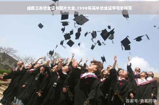 成都三本毕业证书图片大全,1998年高中毕业证学号怎样写