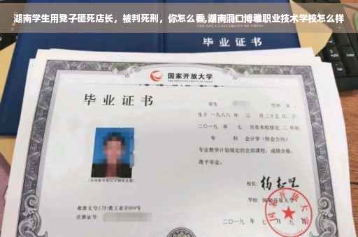 湖南学生用凳子砸死店长，被判死刑，你怎么看,湖南洞口博雅职业技术学校怎么样