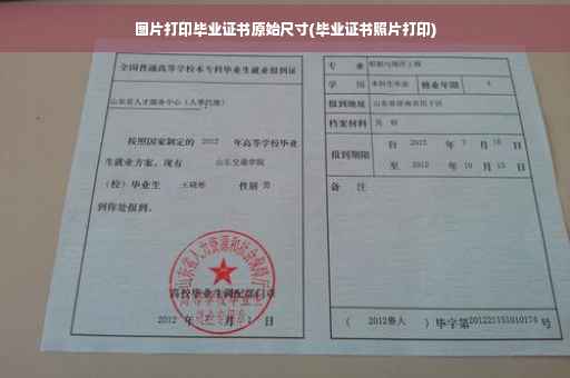 图片打印毕业证书原始尺寸(毕业证书照片打印)