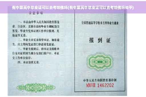 有中国高中毕业证可以去考哈佛吗(有中国高中毕业证可以去考哈佛吗知乎)