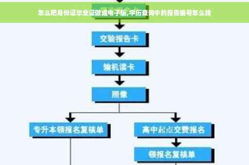 怎么把身份证毕业证做成电子版,学历查询中的报告编号怎么找