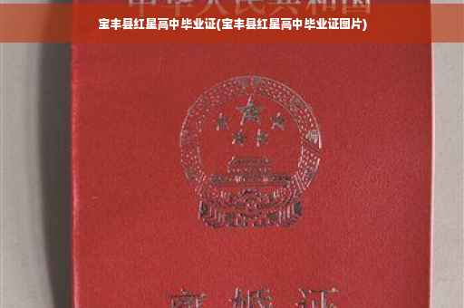 宝丰县红星高中毕业证(宝丰县红星高中毕业证图片)