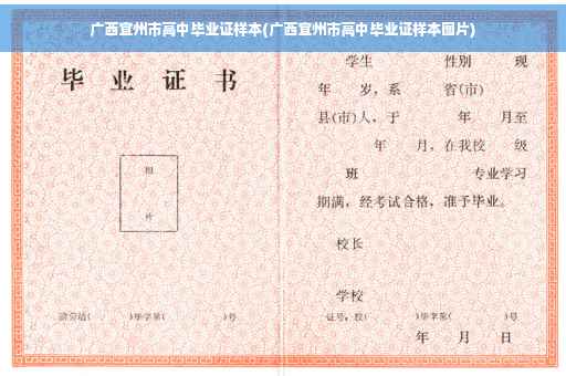 广西宜州市高中毕业证样本(广西宜州市高中毕业证样本图片)