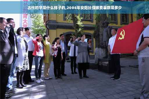 古代的字是什么样子的,2005年安阳社保缴费基数是多少