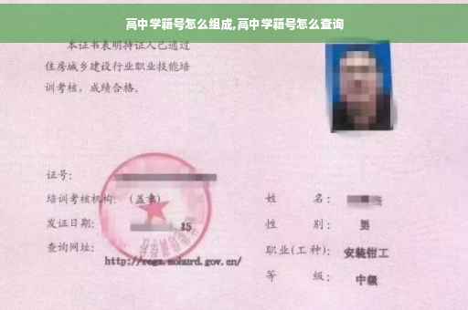 高中学籍号怎么组成,高中学籍号怎么查询
