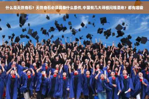 什么是天然奇石？天然奇石必须具备什么条件,中国有几大寻根问祖圣地？都有哪些