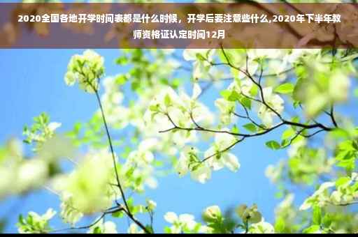 2020全国各地开学时间表都是什么时候，开学后要注意些什么,2020年下半年教师资格证认定时间12月