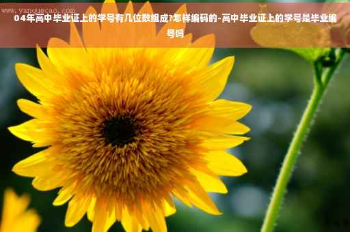 04年高中毕业证上的学号有几位数组成?怎样编码的-高中毕业证上的学号是毕业编号吗