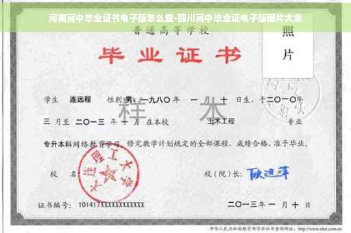 河南高中毕业证书电子版怎么查-四川高中毕业证电子版图片大全