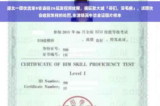 湖北一团伙流窜8省盗窃26起发视频炫耀，揣巨款大喊「哥们，没毛病」，该团伙会收到怎样的处罚,东津镇高中毕业证图片样本
