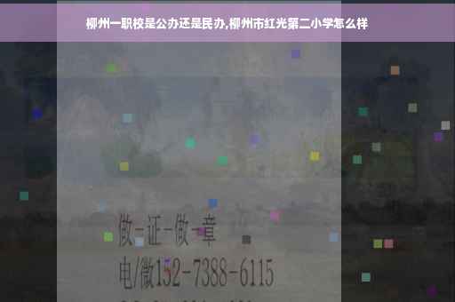 柳州一职校是公办还是民办,柳州市红光第二小学怎么样