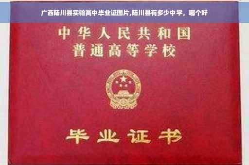 广西陆川县实验高中毕业证图片,陆川县有多少中学，哪个好