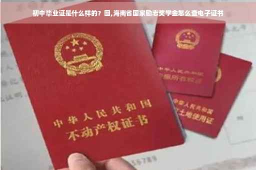 初中毕业证是什么样的？图,海南省国家励志奖学金怎么查电子证书