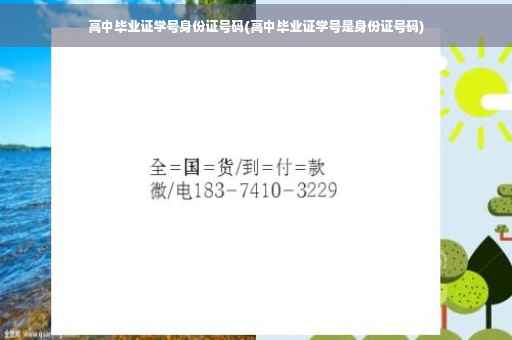 高中毕业证学号身份证号码(高中毕业证学号是身份证号码)