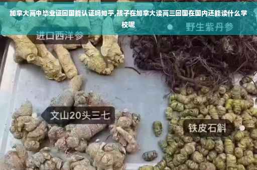 加拿大高中毕业证回国能认证吗知乎,孩子在加拿大读高三回国在国内还能读什么学校呢