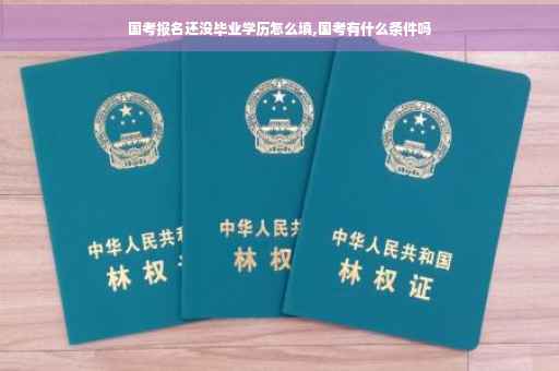 国考报名还没毕业学历怎么填,国考有什么条件吗