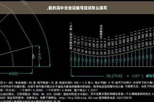 ,我的高中毕业证编号应该怎么填写