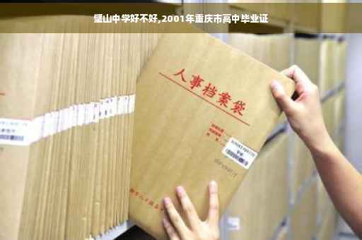 璧山中学好不好,2001年重庆市高中毕业证