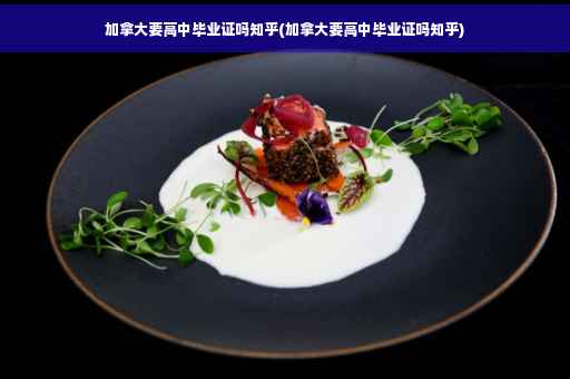 加拿大要高中毕业证吗知乎(加拿大要高中毕业证吗知乎)