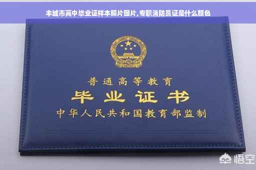 丰城市高中毕业证样本照片图片,专职消防员证是什么颜色