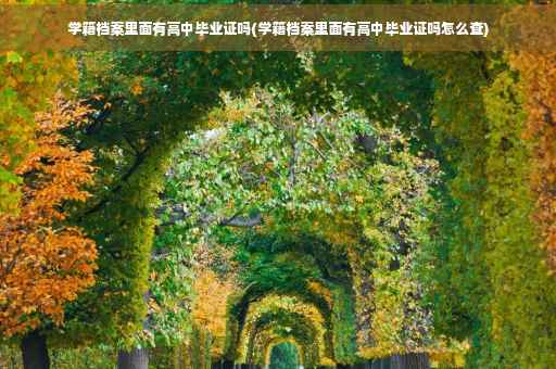 学籍档案里面有高中毕业证吗(学籍档案里面有高中毕业证吗怎么查)